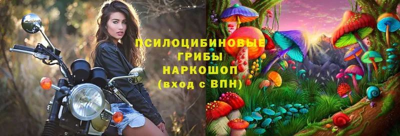 Галлюциногенные грибы Psilocybine cubensis  даркнет сайт  Майский 